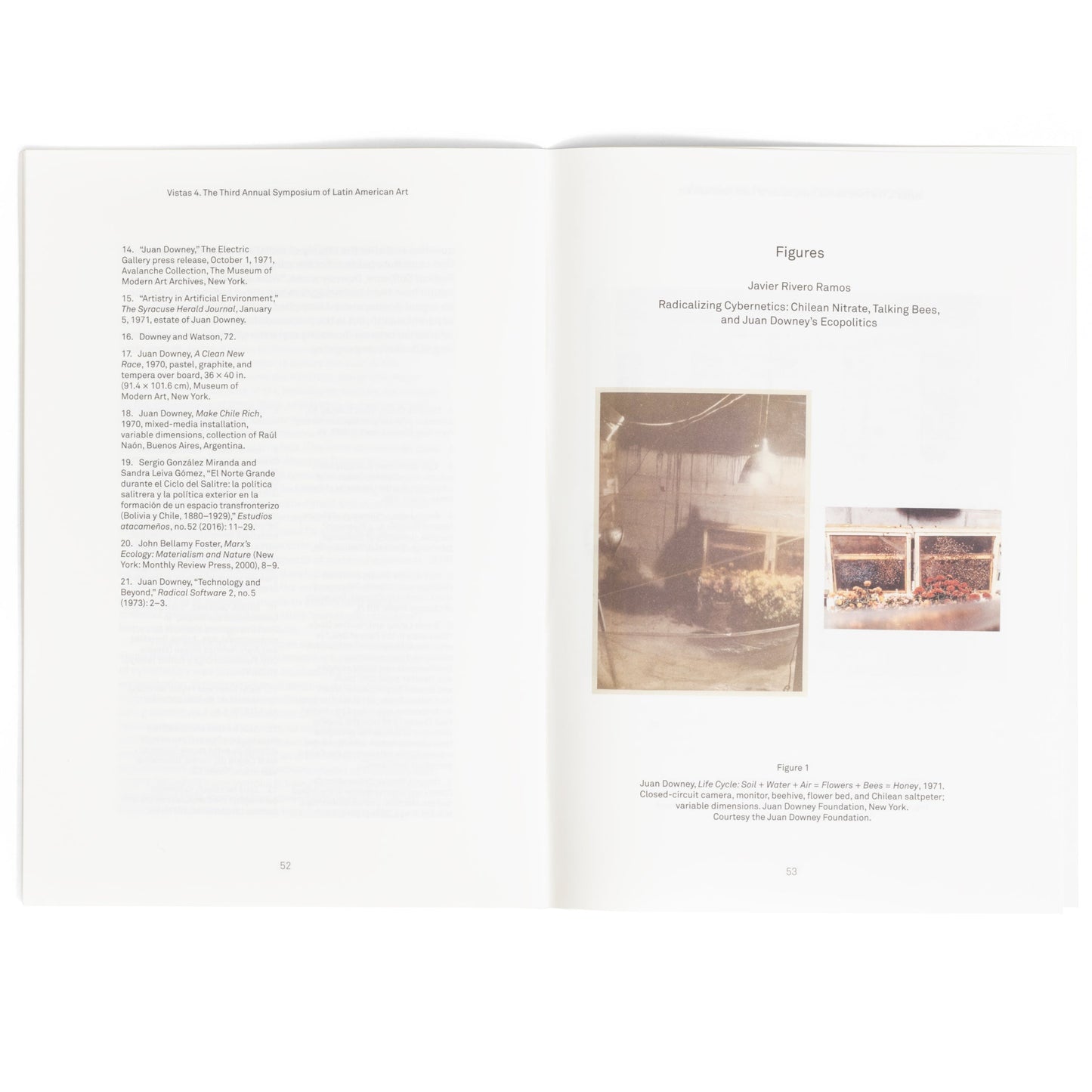 Vistas 4—Super/Natural: Excess, Ecologies, and Art in the Americas
