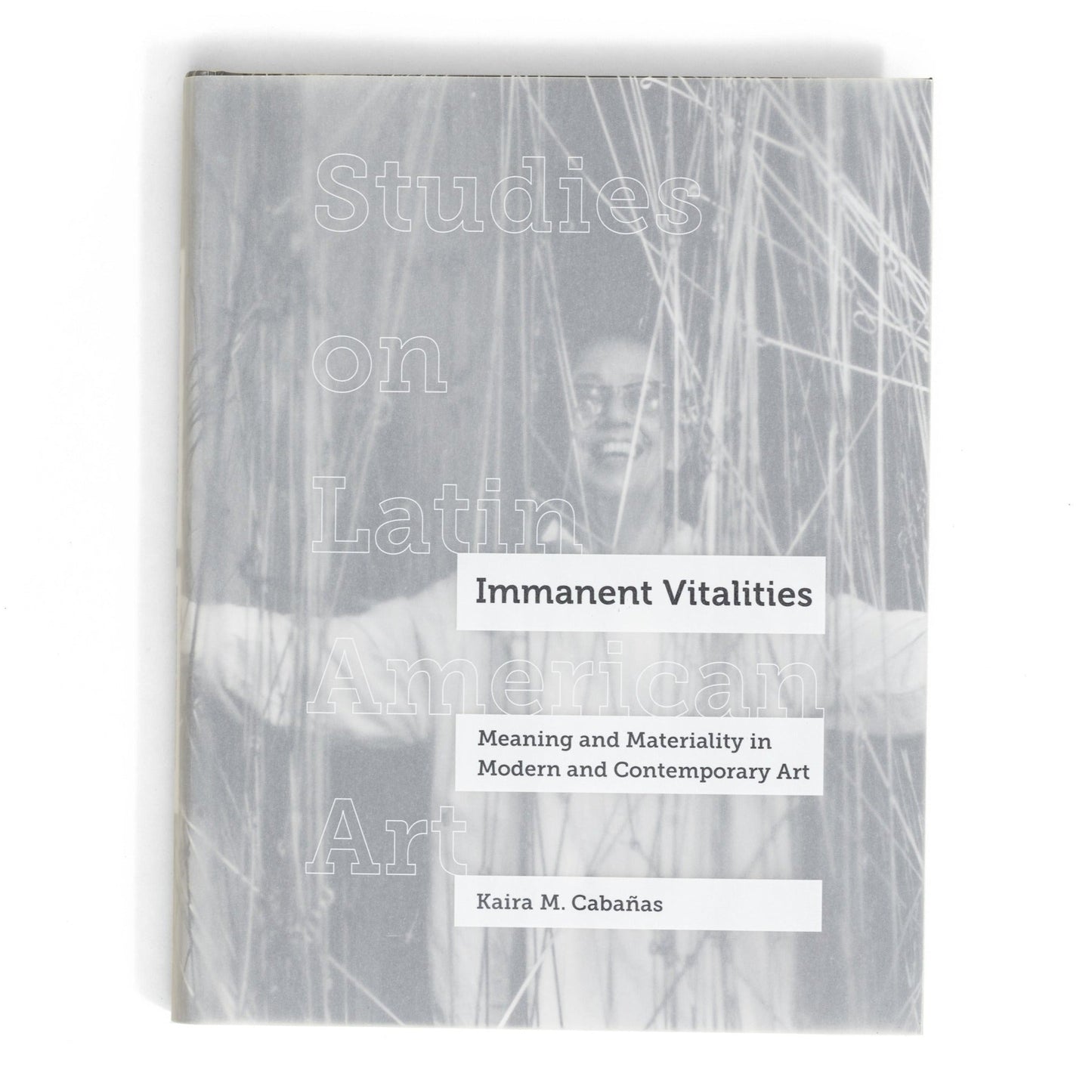 Immanent Vitalities: Meaning and Materiality in Modern and Contemporary Art
