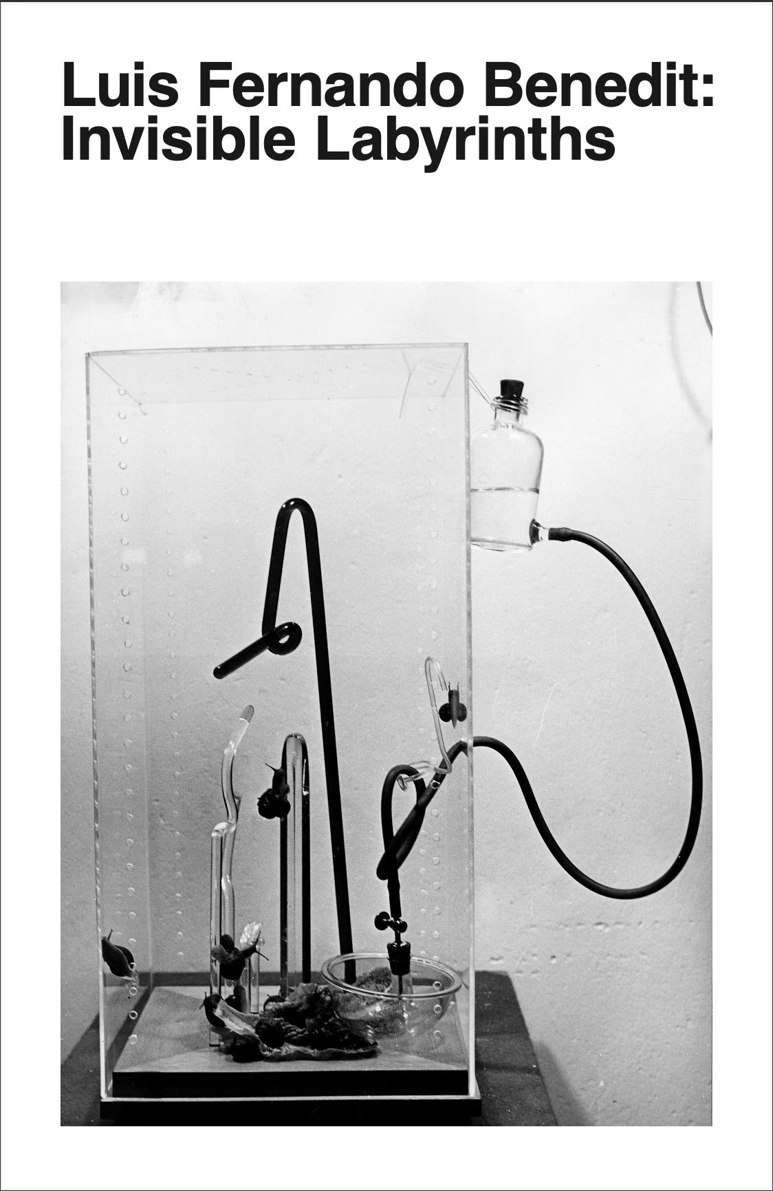 Luis Fernando Benedit: Invisible Labyrinths