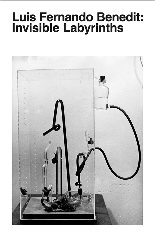 Luis Fernando Benedit: Invisible Labyrinths