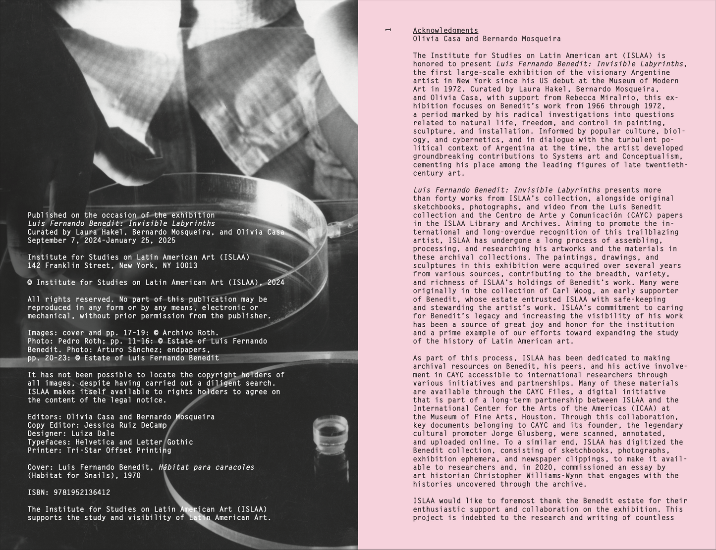 Luis Fernando Benedit: Invisible Labyrinths