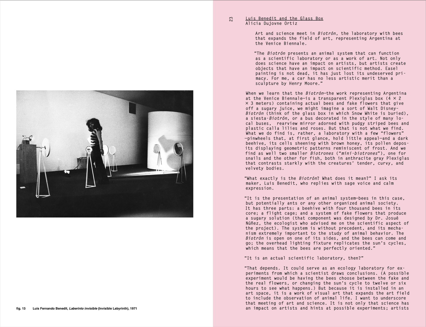Luis Fernando Benedit: Invisible Labyrinths