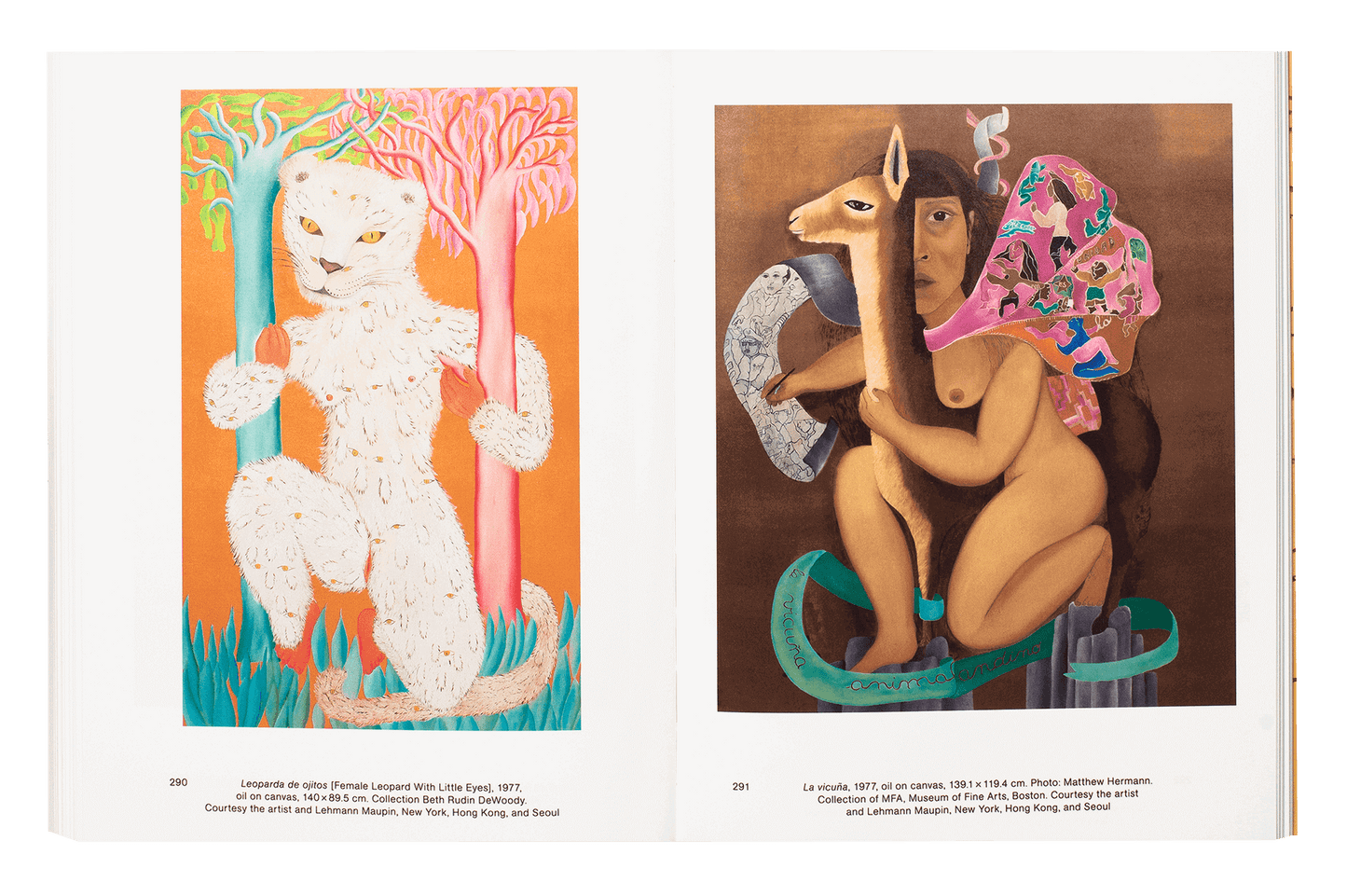 Cecilia Vicuña: Seehearing the Enlightened Failure