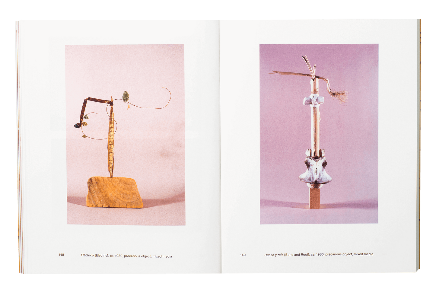 Cecilia Vicuña: Seehearing the Enlightened Failure