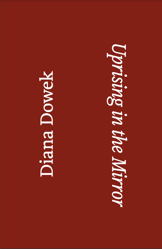 Diana Dowek Exhibition Booklet